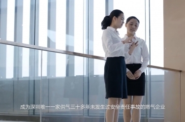 服務(wù)類(lèi)--燕鵬燃?xì)? title=